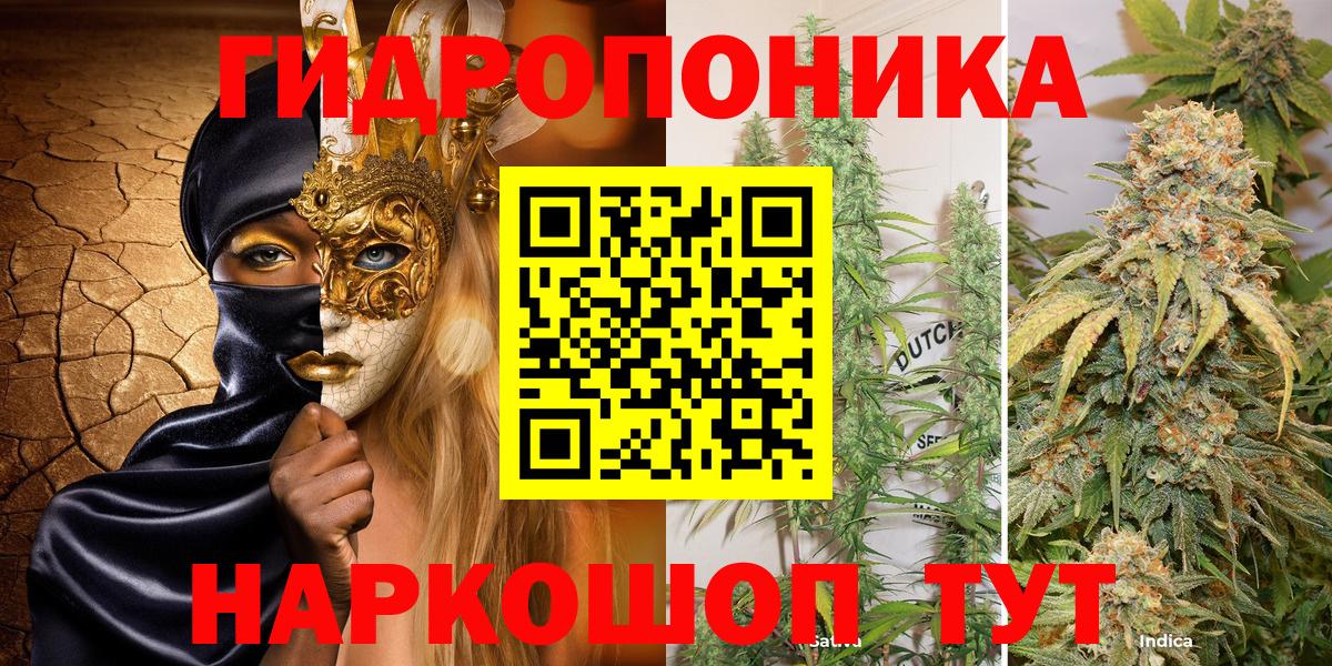 Бошки марихуана OG Kush Краснокаменск